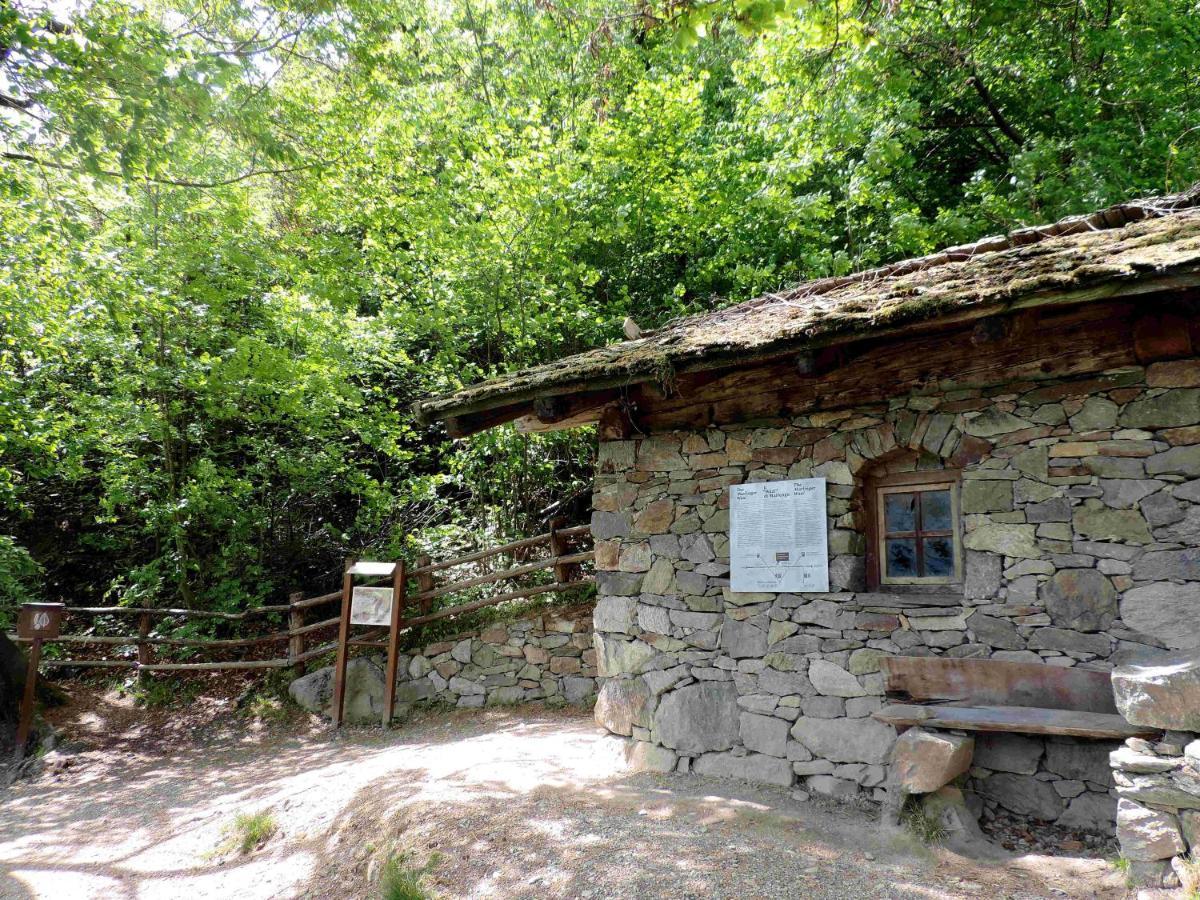 Boutique Appartamento Bacchus Marlengo Exteriér fotografie